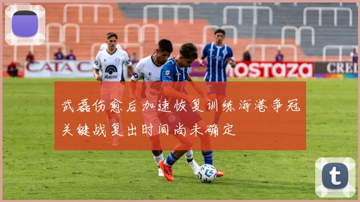 武磊伤愈后加速恢复训练海港争冠关键战复出时间尚未确定