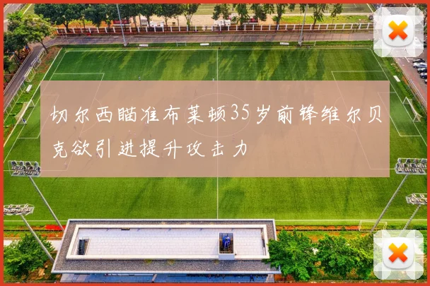切尔西瞄准布莱顿35岁前锋维尔贝克欲引进提升攻击力
